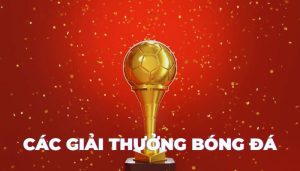 Các giải thưởng trong bóng đá