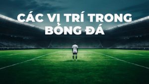 Các vị trí trong bóng đá chuyện nghiệp