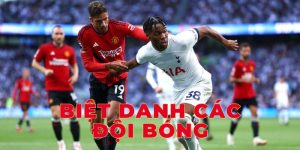 Biệt danh của các đội tuyển bóng đá thế giới