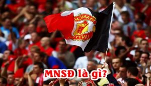 Mnsd Việt Nam